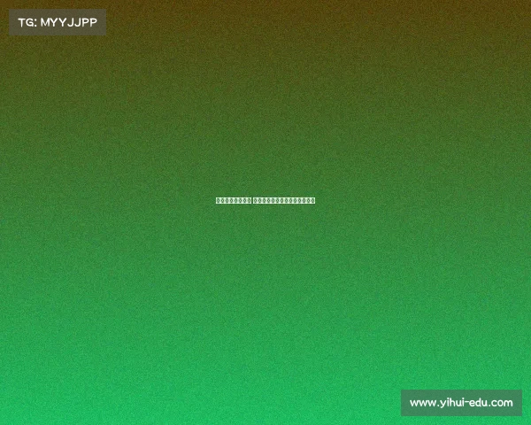 德甲球迷热情四溢 足球激情与文化碰撞的独特魅力